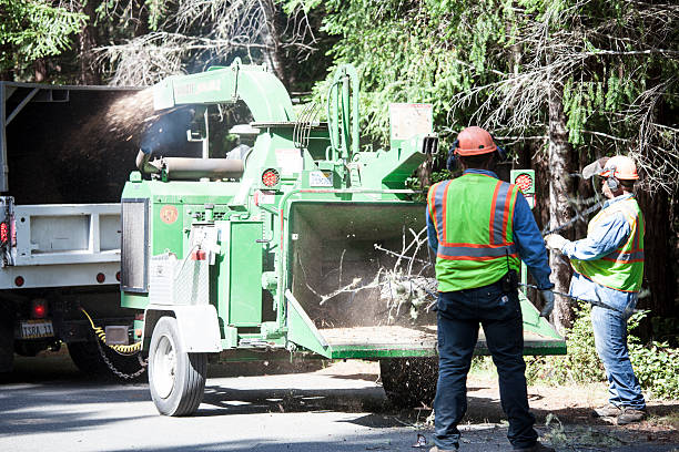 Best Commercial Tree Services  in Wheeler, TX